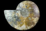 Bargain, Agatized Ammonite Fossil (Half) - Madagascar #88179-1